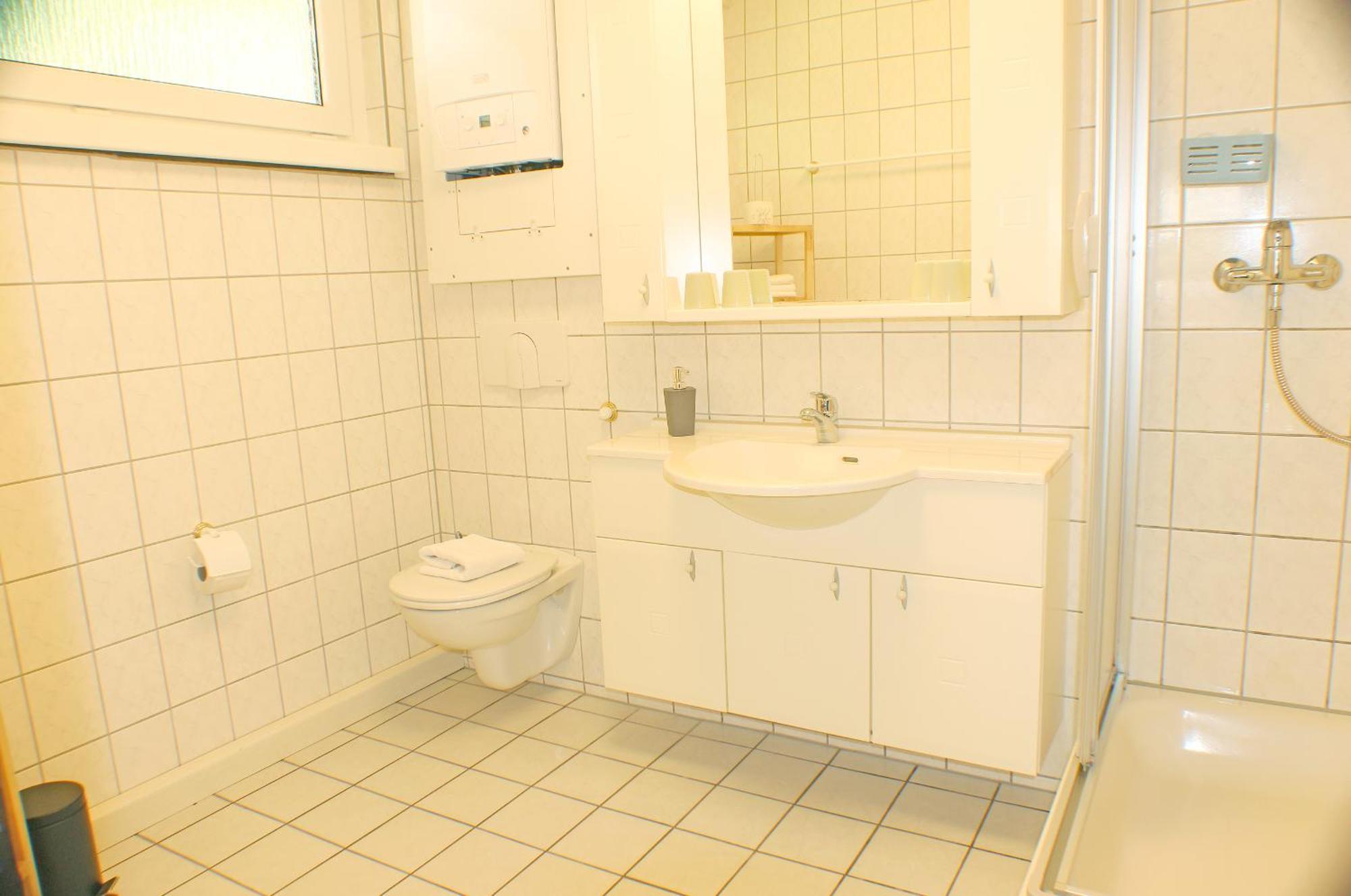 Sternhaus-harz