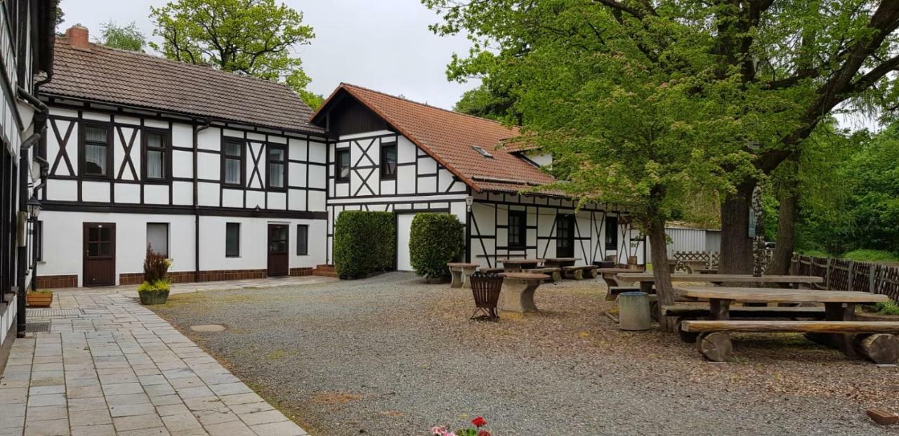 Sternhaus-harz Zajazd *
