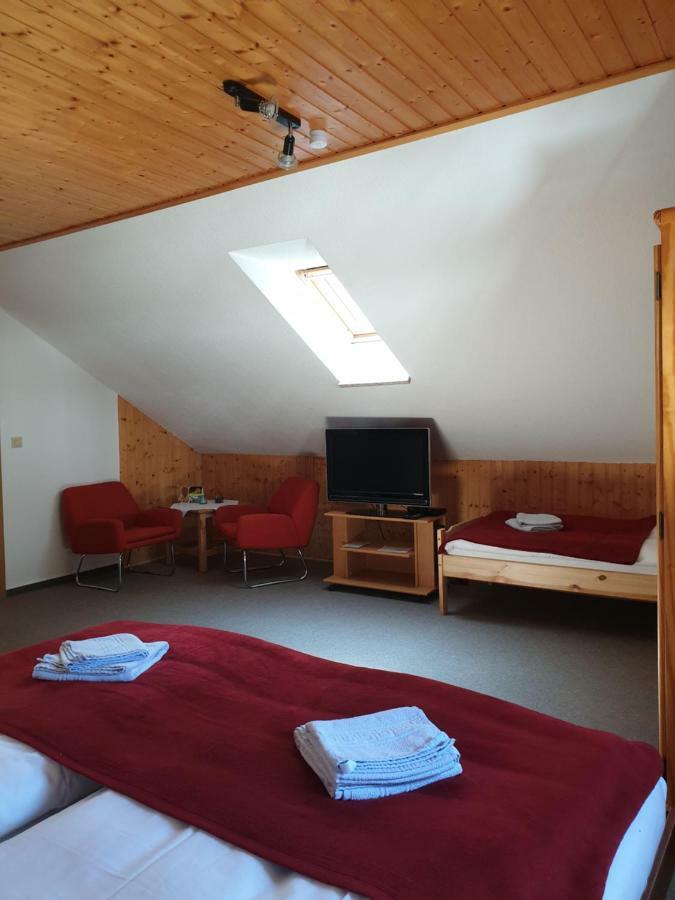 Sternhaus-harz Zajazd *