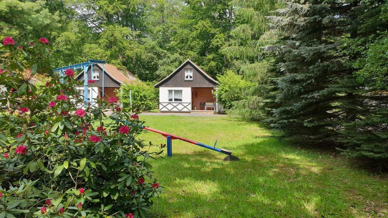 Sternhaus-harz *